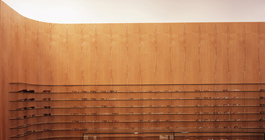 POKER FACE Olinas Kinshicho 